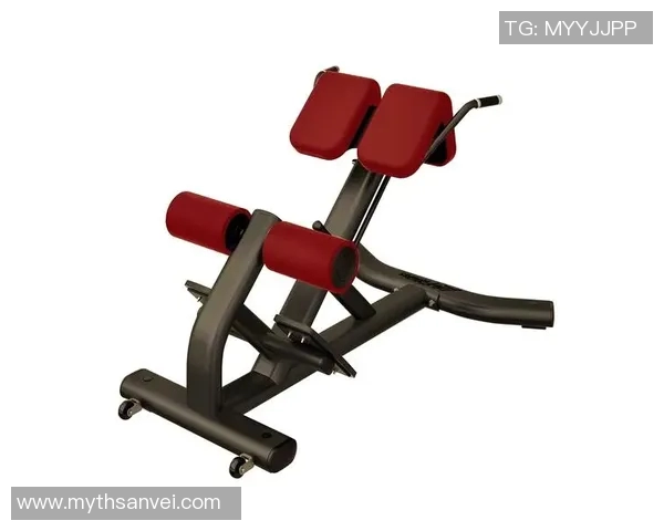 全面解析体育健身器材清单助你打造完美健身房的必备装备与选择指南